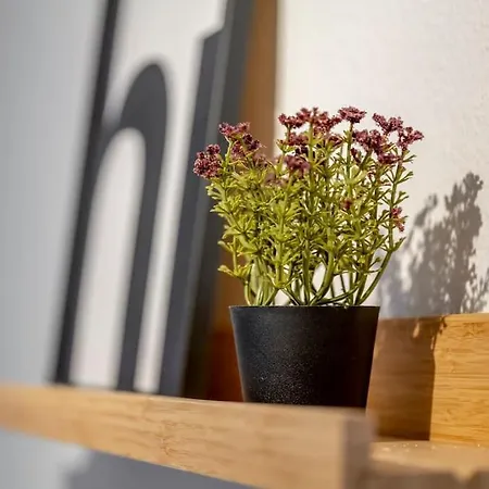 Lägenhet Himmlische Altstadt-maisonette *