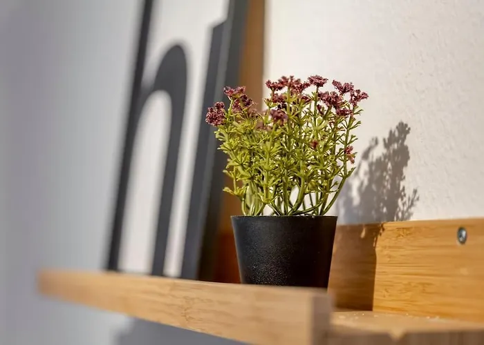 Lägenhet Himmlische Altstadt-maisonette *